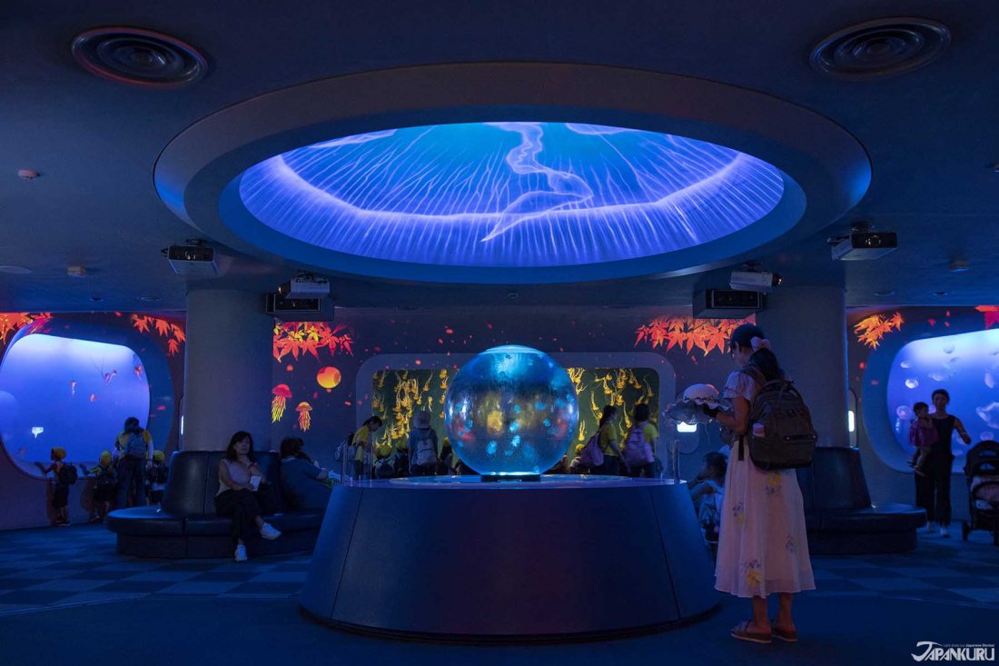 🐠 신에노시마 수족관 이미지 4